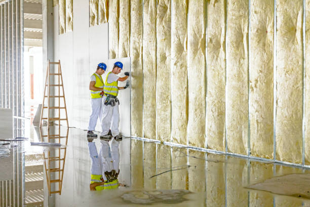 Insulation Repair Services in Stockton, KS